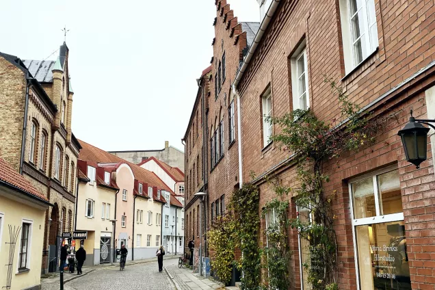 Lund street view