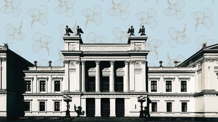 Lund university, grafic picture